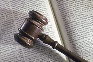 律师专业化 法律的立身之本